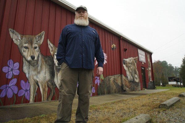 Joe Madison, head of the U.S. Fish and Wildlife's red wolf program, poses for a photo outside the Red Wolf Center in Columbia, N.C., on Wednesday, Nov. 20, 2024. (AP Photo/Allen G. Breed)